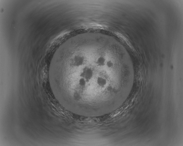 X0000087641063200705031505