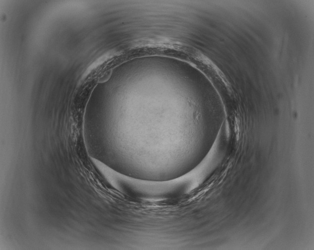 X0000087641064200705031505