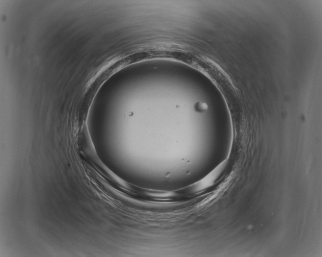 X0000087641065200705031505