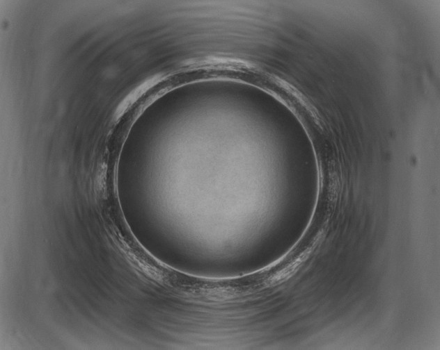 X0000087641066200705031505