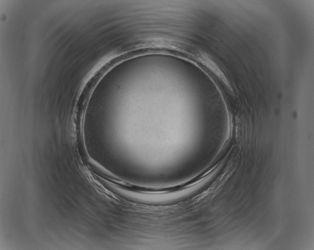 X0000087641068200705031505