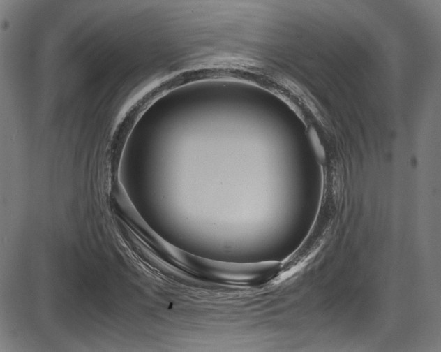 X0000087641069200705031505