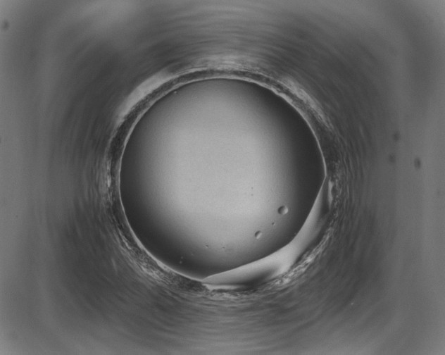 X0000087641070200705031504