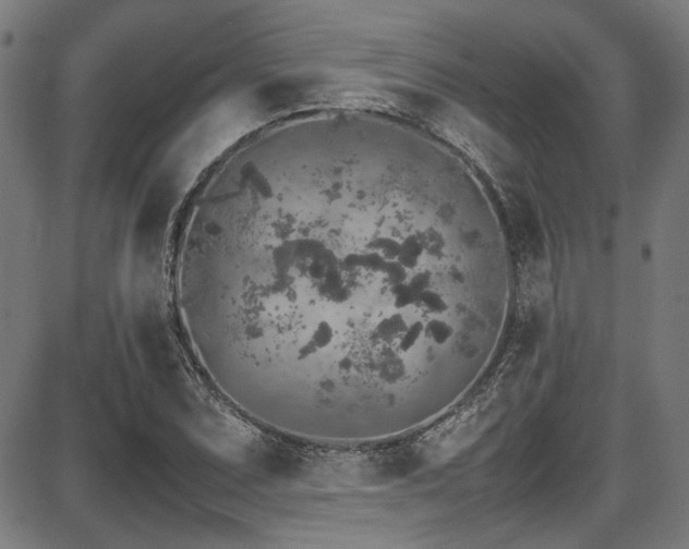 X0000087641071200705031504