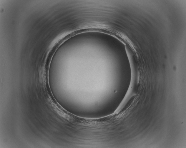 X0000087641072200705031504