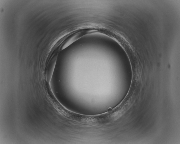 X0000087641073200705031504