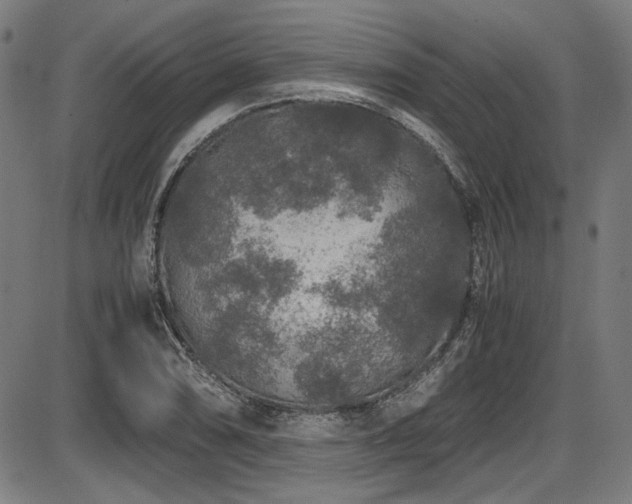 X0000087641074200705031504