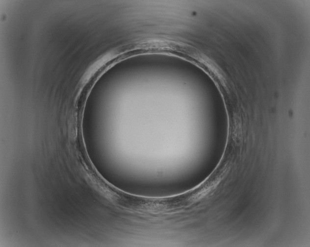 X0000087641075200705031504