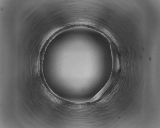 X0000087641076200705031504