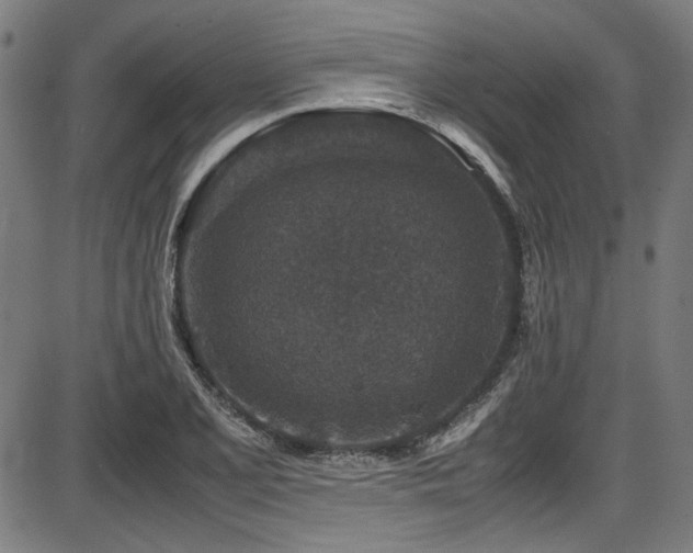 X0000087641077200705031504