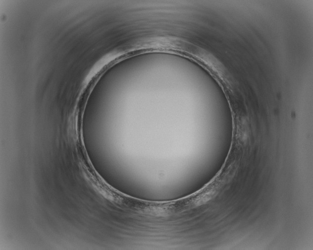 X0000087641078200705031504