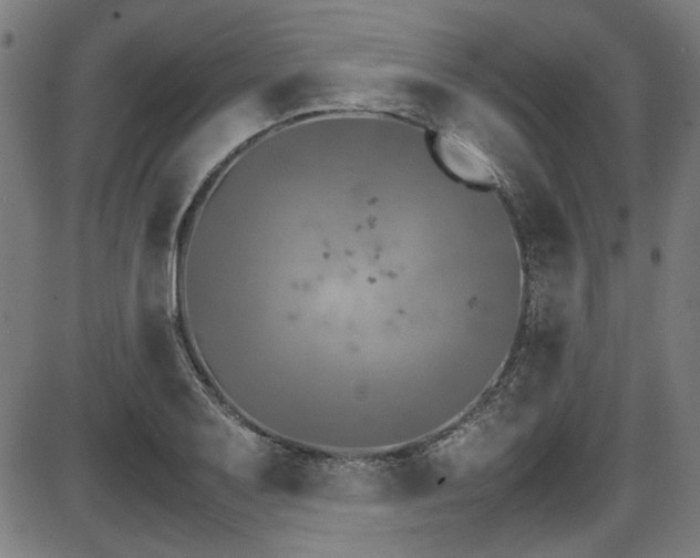 X0000087641079200705031504