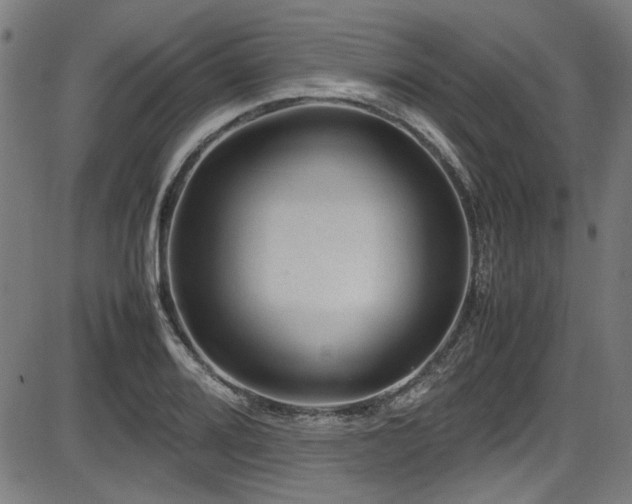 X0000087641080200705031504