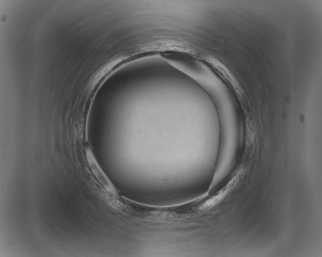 X0000087641081200705031504