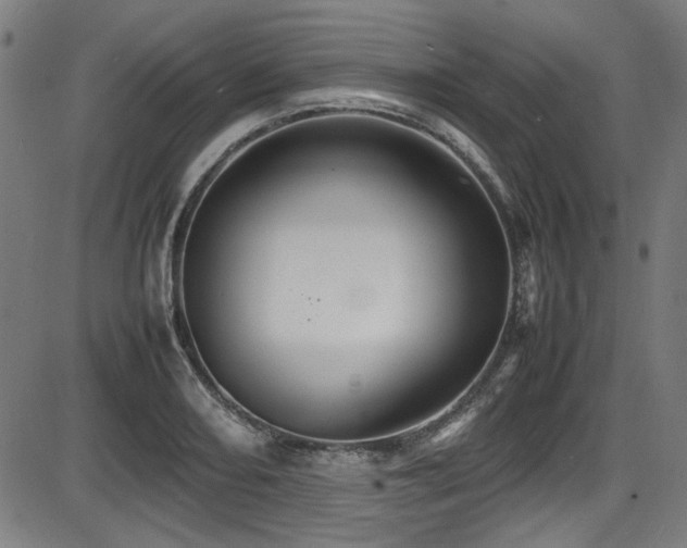 X0000087641082200705031504