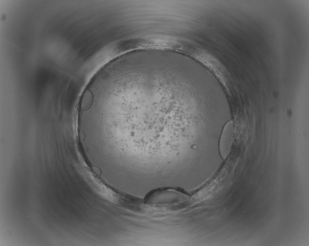 X0000087641083200705031504