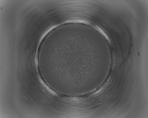 X0000087641084200705031504