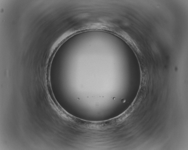 X0000087641086200705031504