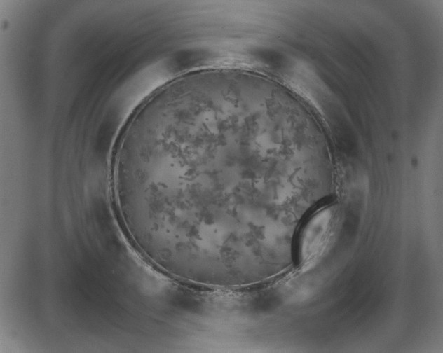 X0000087641087200705031504