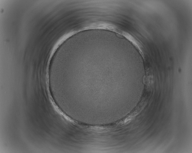 X0000087641088200705031504