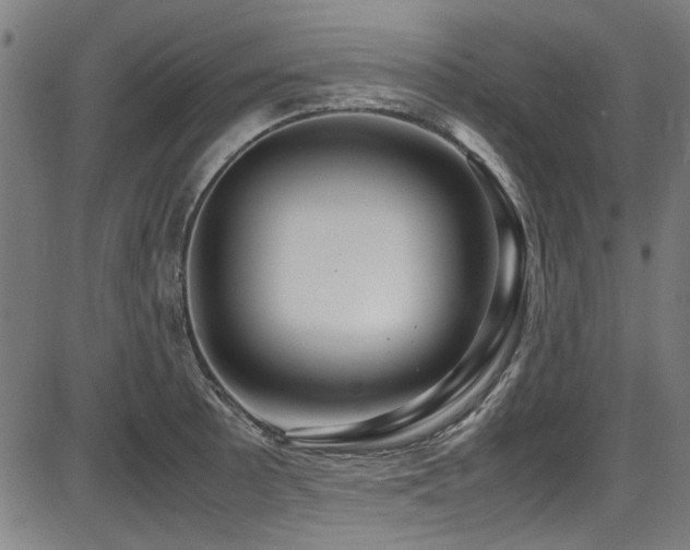 X0000087641089200705031504