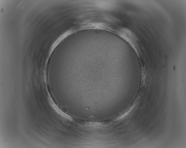 X0000087641090200705031504