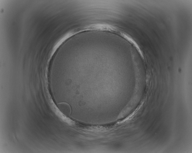 X0000087641091200705031504