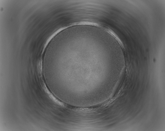 X0000087641092200705031504