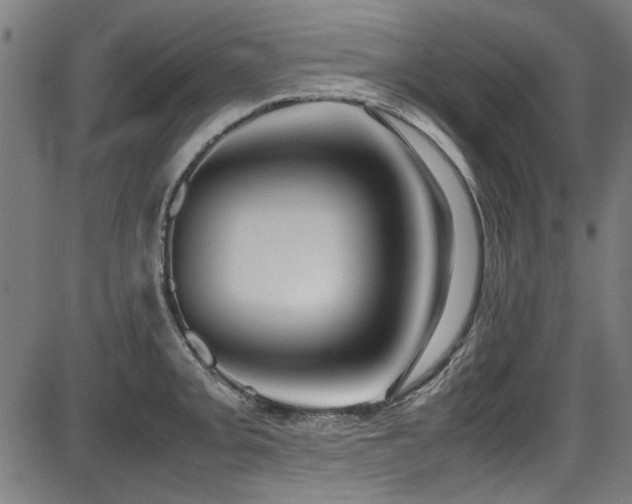 X0000087641093200705031504