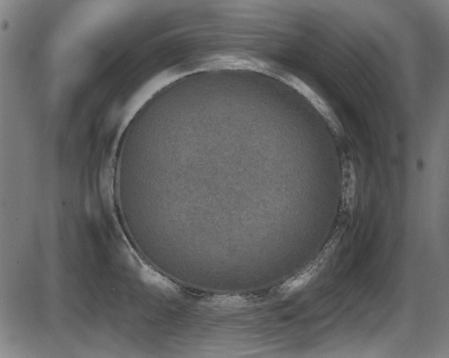 X0000087641094200705031504