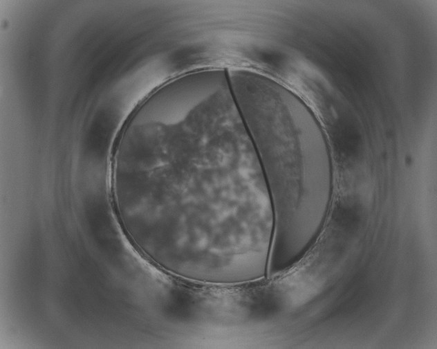 X0000087641095200705031504