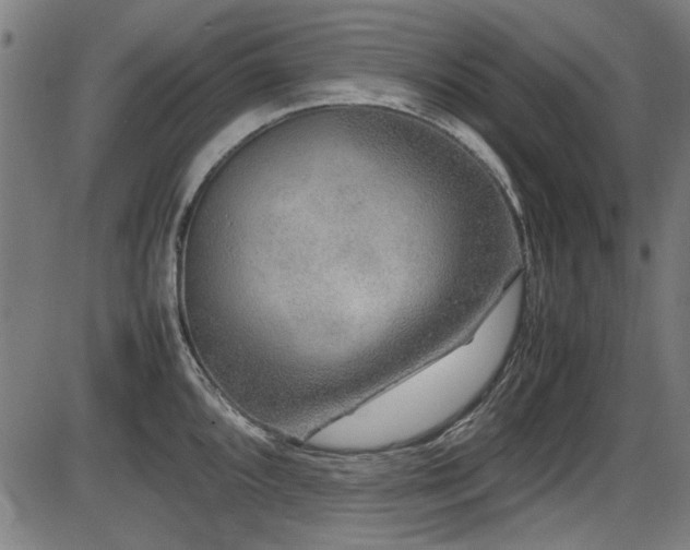 X0000087641096200705031504