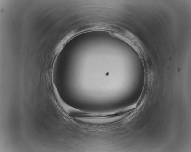 X0000087641097200705031504