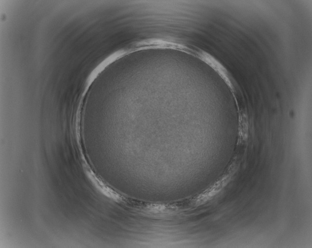 X0000087641098200705031504