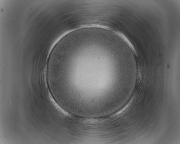 X0000087641100200705031504