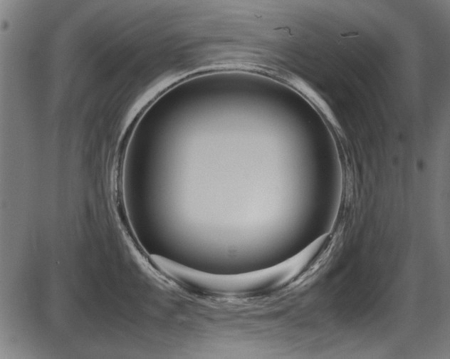 X0000087641101200705031504