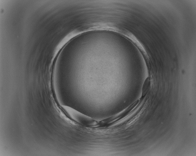 X0000087641102200705031504