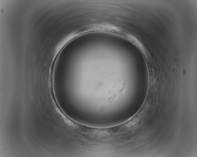 X0000087641103200705031504