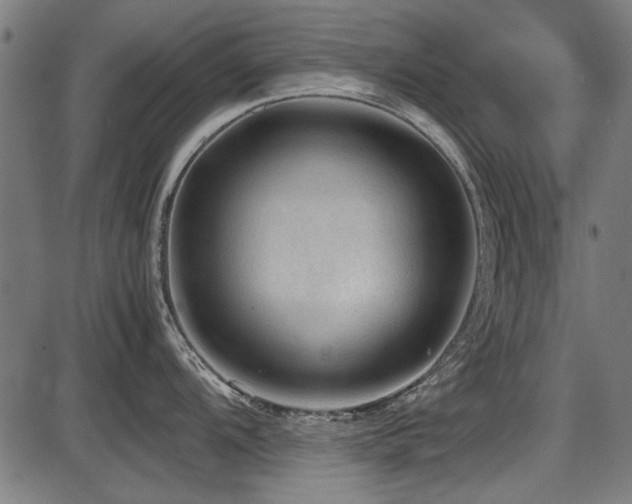 X0000087641104200705031504