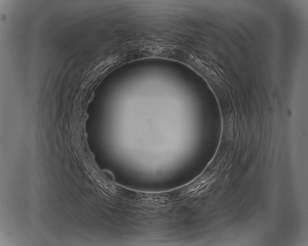 X0000087641105200705031503