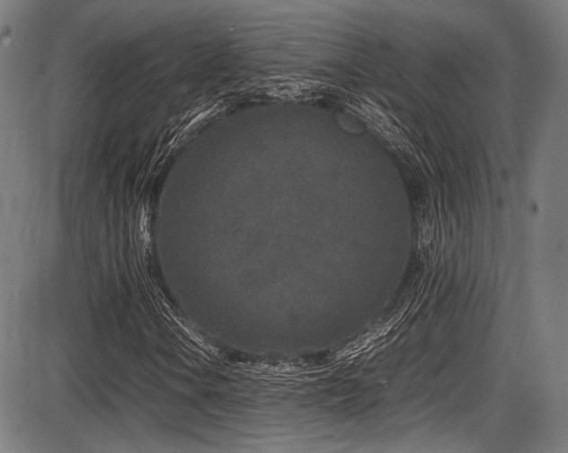 X0000087641106200705031503