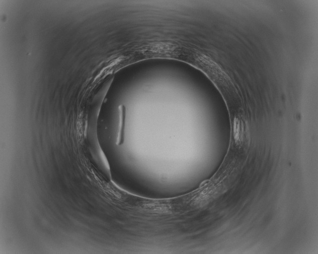 X0000087641107200705031503