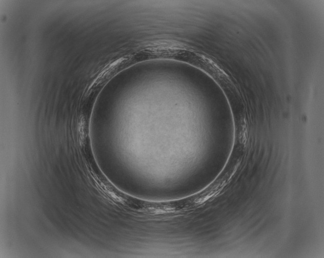 X0000087641108200705031503