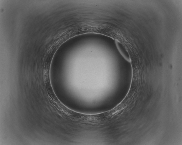 X0000087641109200705031503