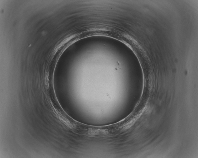 X0000087641113200705031503