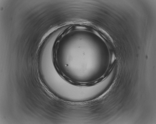 X0000087641114200705031503