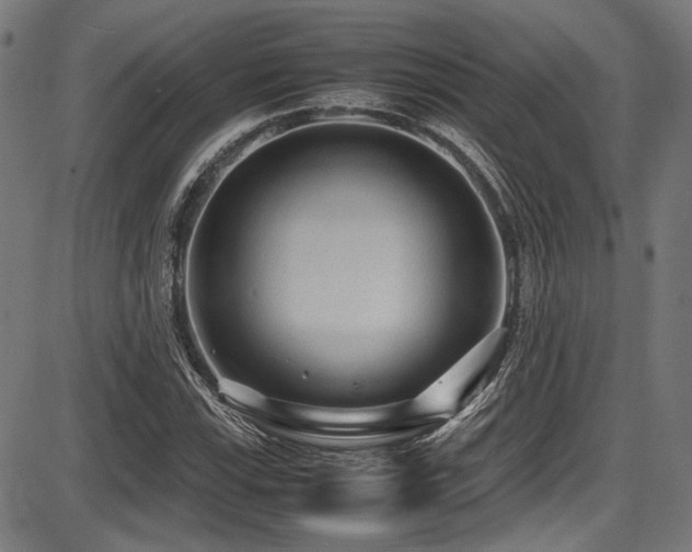 X0000087641115200705031503