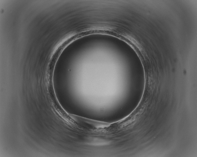 X0000087641119200705031503