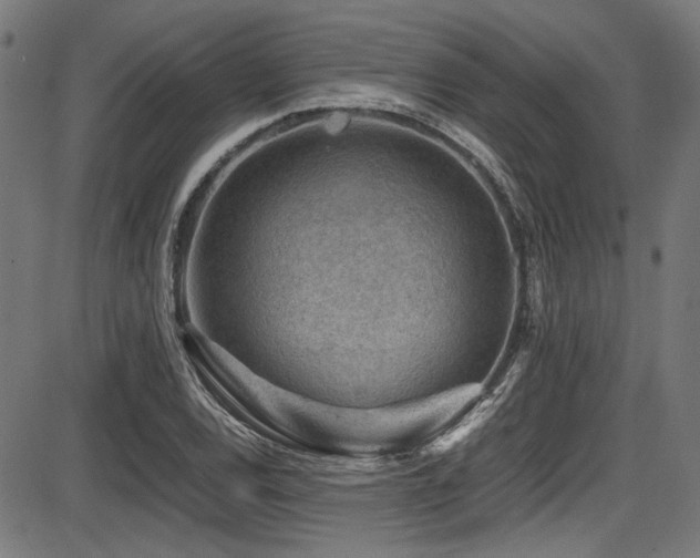 X0000087641120200705031503