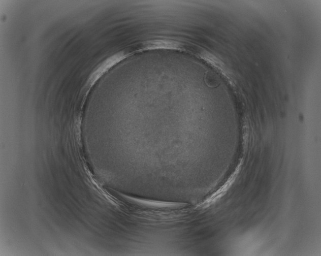 X0000087641121200705031503